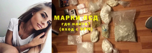 трава Абаза