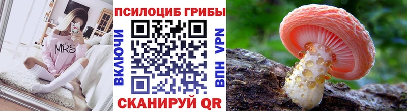 Псилоцибиновые грибы Psilocybine cubensis  наркотики  ссылка на мегу   Кизляр 